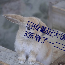 网传最近大香煮伊区一二三四区2023新增了一二三区