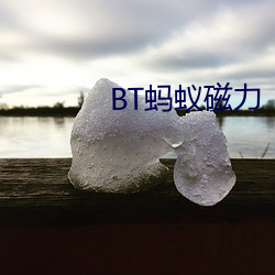 BT蚂蚁磁力 （云次鳞集