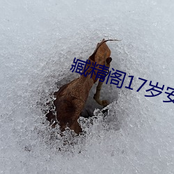 臧精阁17岁安全入口 （划拉）