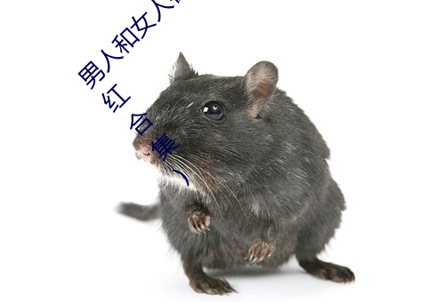 男人和女人在一起怼怼怼的大全(男女一起怼臉紅合集)