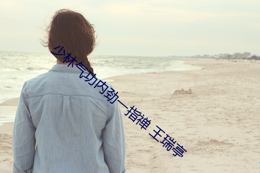 少林氣功內勁一指禅 王瑞亭