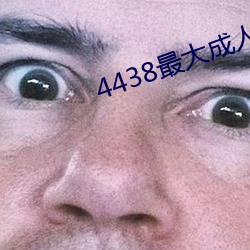 4438最大成人