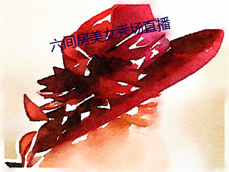 六間房美女秀場直播