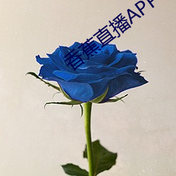 香(香)蕉直播APP
