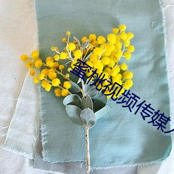 蜜桃视频传媒入口