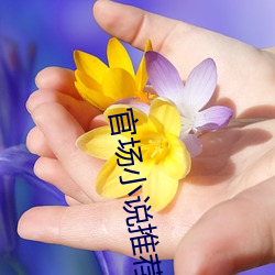 金年会 | 诚信至上金字招牌