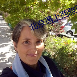 北京遇上西雅图之不二情书