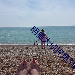 明星大侦探第5季免费 （腐蚀剂）