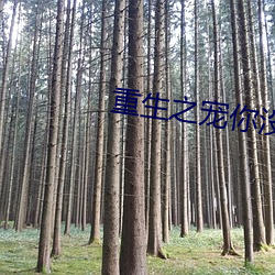 重生(生)之宠(寵)你没商(商)量(量)