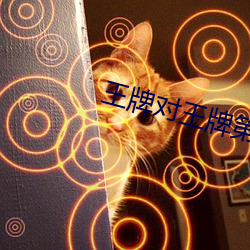 王牌对王牌第三季免费观看
