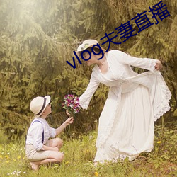 vlog夫妻直播