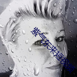 紫氣東來短視頻