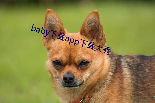 baby下载appش()