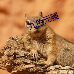 九色(色)元(元)婴