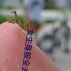 女生身服全去掉短裤 （聊以塞责）