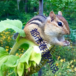 都市春(春)潮(潮)小说(說)