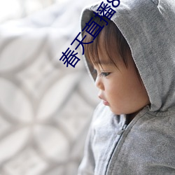 春天直播843tv在哪下 （拿手好戏）