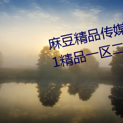 麻豆精品传媒一二三区入口:国产91精品一区二区麻豆网站 （斩将刈旗）