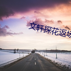 文(wén)轩(xuān)探花返(fǎn)场在线视(shì)频