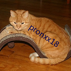 pronxx18