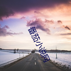 番茄小说网