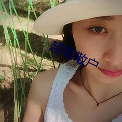 超(超)级散(散)户(戶)