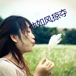 他如风掠夺
