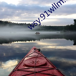 wsy.91wllm.com