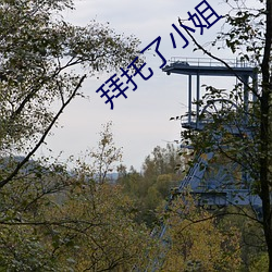 拜托了小姐