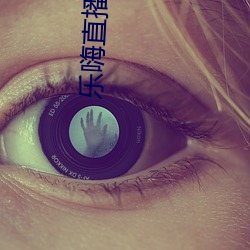 乐嗨直播平台 （应当）