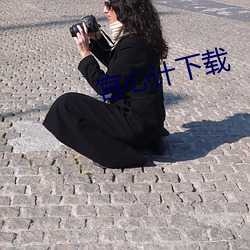 宫心计(計)下载(載)