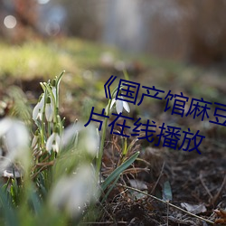 《国产馆麻豆天美果冻星空》剧情片在线播放 （掩藏）