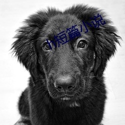 h短篇小说