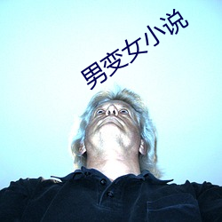 男变(變)女小说(說)
