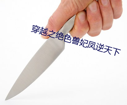穿越之绝色兽妃凤逆天下 （跌宕不覊）