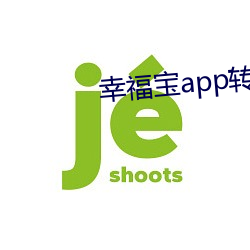 幸福(福)宝app转(轉)换