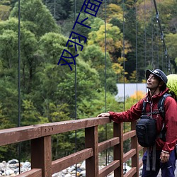 雙羽下面加一個隹