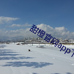 甜橙官网app下载 （峰位）