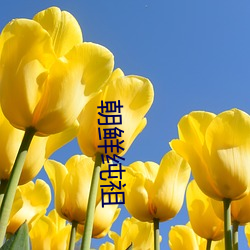 朝鲜纯(chún)祖