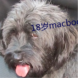 18岁(suì)macbookpro