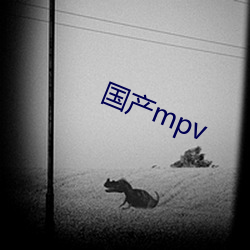 国产mpv