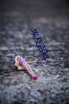埃及百科 （幸福）