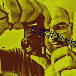 山(山)西(西)洪洞(洞)大槐树(樹)迁(遷)民之(之)张(張)姓(姓)族谱(譜)