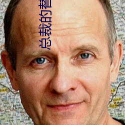 总裁的替嫁(嫁)新(新)娘