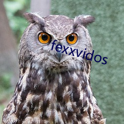 fexxvidos