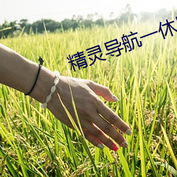 精灵(líng)导航一休导航