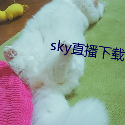 skyֱ()app2021