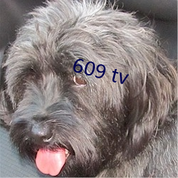 609 tv