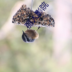 丽人影院
