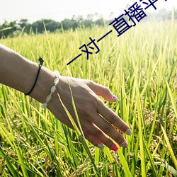 一对一(yī)直播平台哪个好(hǎo)